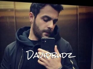 Davidbudz