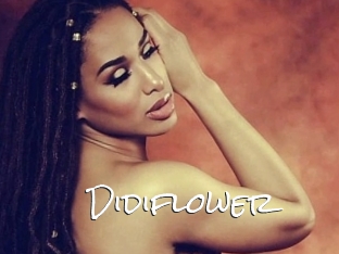 Didiflower