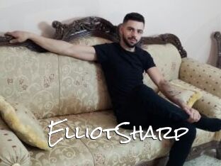 ElliotSharp