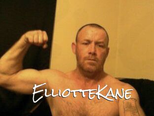 Elliotte_Kane