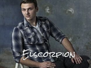 Elscorpion