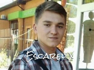 Escarel_X