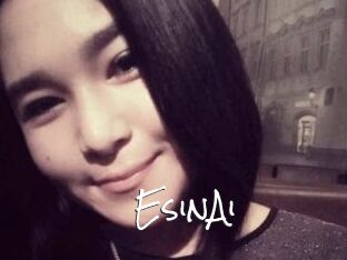 EsinAi