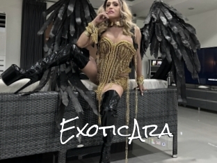 ExoticAra