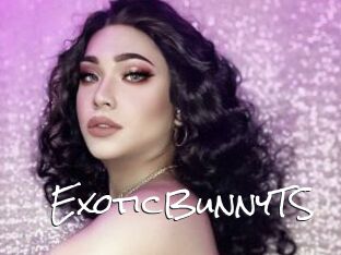 ExoticBunnyTS