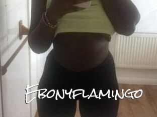 Ebony_flamingo