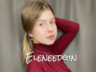 Eleneedgin