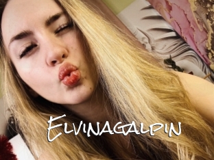 Elvinagalpin