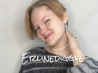 Erlinediggle