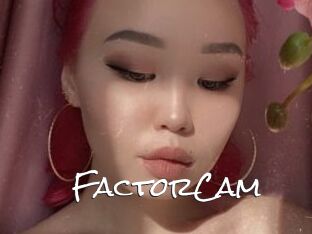 FactorCam