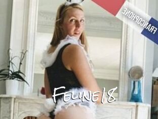 Feline18