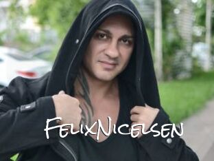 FelixNicelsen