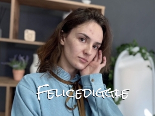 Felicediggle