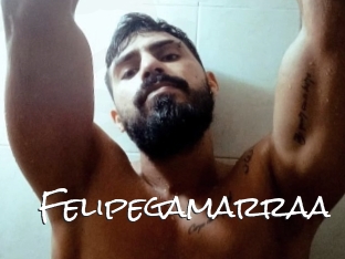 Felipegamarraa