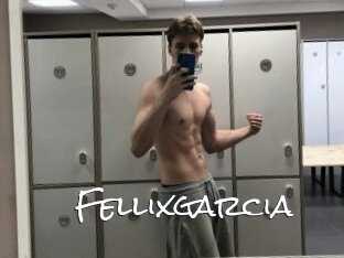 Fellixgarcia