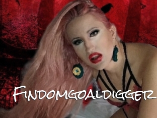 Findomgoaldigger