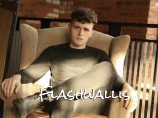 Flashwallis
