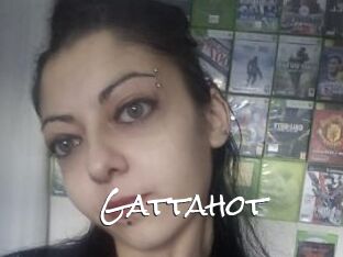 Gattahot
