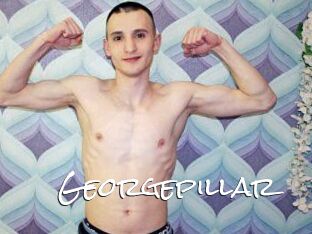 Georgepillar