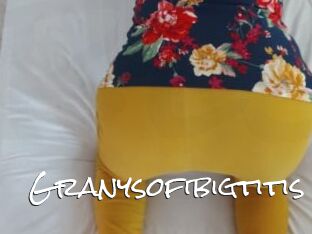 Granysofibigtitis