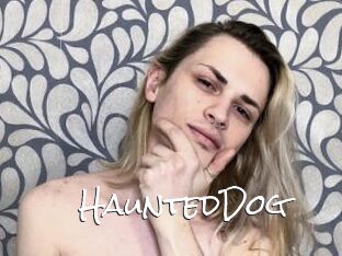 HauntedDog