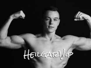 HeilgarVip