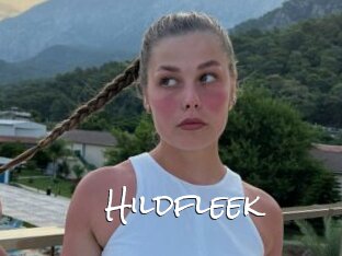 Hildfleek