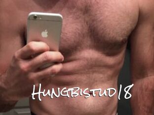 Hungbistud18