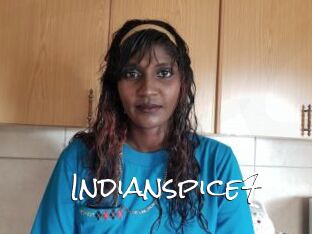 Indianspice7