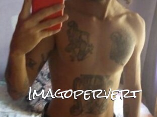Imagopervert