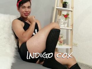 Indigo_cox
