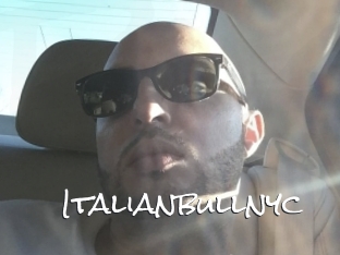 Italianbullnyc