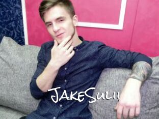 JakeSulii