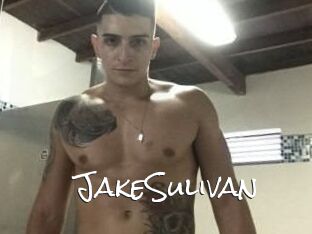 Jake_Sulivan