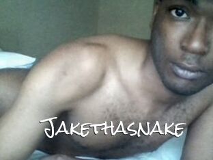 Jake_tha_snake