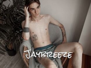 Jaybreeze