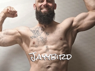 Jayybird