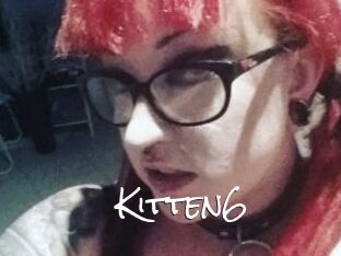 Kitten6