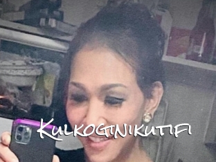 Kulkoginikutifi
