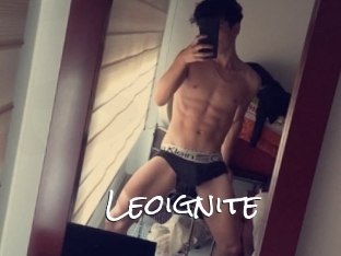 Leoignite