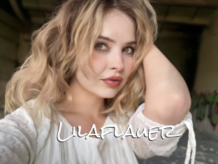 Lilaflauer