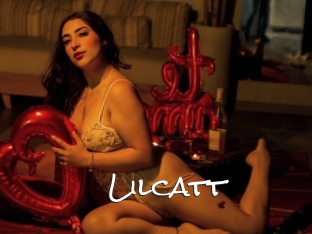 Lilcatt