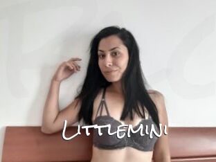 Littlemini