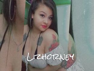 Lizhorney