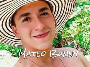 Mateo_Bunny