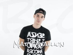 Mattestallion