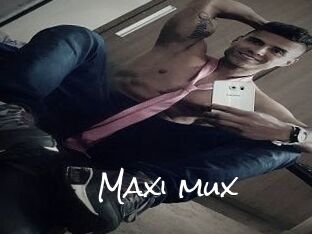 Maxi_mux