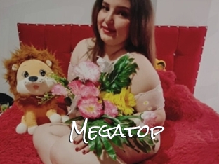 Megatop