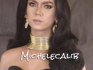 Michelecalib