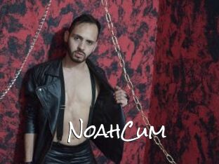 NoahCum